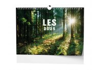 Kalendář nástěnný - Les / BNK22